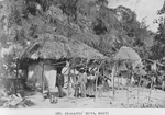 Peasants' huts, Haiti.
