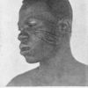 A Kanjaga Negro, From Gold Coast Hinterland; A "Koromanti" Negro in slavery parlance.
