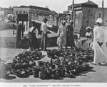 Busy Barbados"; Selling Island pottery.