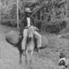 A Negro peasant returning from market, Jamaica.