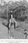 A Negro peasant returning from market, Jamaica.