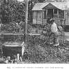 A Jamaican Negro farmer and bee-keeper.