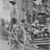 A Negro coconut - seller in Trinidad.