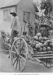 A Negro coconut - seller in Trinidad.