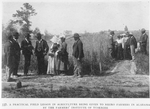 A practical field lesson in Agriculture being given to Negro farmers in Alabama by the Farmers' Institute of Tuskegee.