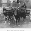 A Negro waggoner, Alabama.