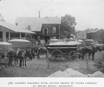 Loading waggons with cotton grown by Negro farmers at Mound Bayou, Mississippi.