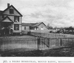 A Negro homestead, Mound Bayou, Mississippi.