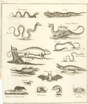 Aspic ptyas, ceraste, basilic, dragon ethiopien, cameléon, dipsade, aspic chelidoine, stelion, crocodile, chauve souris, mygale ou museraigne, scorpion, ophiomacus, attacus, bruchus.
