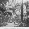 Affairs of West Africa