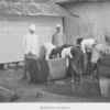 Affairs of West Africa