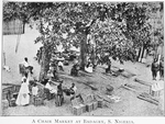 A chair market at Badagry, S. Nigeria.