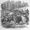 Bringing in supplies of cattle