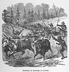 Bringing in supplies of cattle