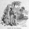 Flight of the negroes