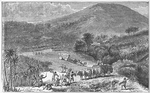 Enslaved people gathering sugarcane