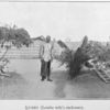 Lumbu [Lembe wife's enclosure.]