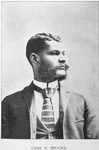 Chas. H. Brooks, Grand Secretary, 1893-94, G.U.O. of O.F., America 30