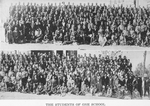 The students of one school.