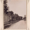 A path leading to the house and surrending property