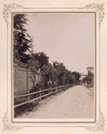 A path leading to the house and surrending property