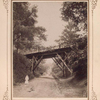 Wooden bridge in the garden