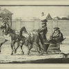 Traineau de famille, a 3 chevaux.