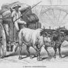 A Havana baggage-wagon