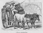 A Havana baggage-wagon