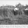 A field of prize rye grown under the direction of colored Demonstration Agent Jas. A. Booker (on left), Mound Bayou, Miss., 1910.