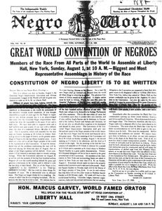 The Negro world