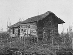 [An old cabin for Negro tenants on the Brown plantation.]