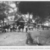A number of Martin Ferguson's delivery wagons and horses, Jacksonville, Fla.