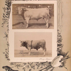 Zavoda g. Brodskago. [Two images]