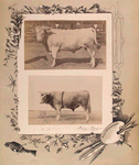 Zavoda g. Brodskago. [Two images]