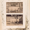 Zavoda g. Semigradova. [Two images]