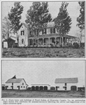 Farm home and building of Floyd Stokes, of Gloucester County, Va., an outstanding Negro farmer who attributes unusual success to following the advice and suggestions of the Negro extension agent.