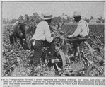 Negro agent advising a farmer regarding the value of cowpeas, soy beans, and other legumes for soil improvement; During 1924, Negro framers conducted 9,860 demonstrations with cowpeas, soy beans, and other leguminous and forage crops, of which 8,358 were completed on a total acreage of 54,366.