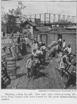 Shipping cotton by rail; Cars near vast cotton - growing districts being loaded with bales bound for the great manufacturing centers.