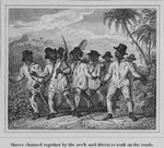 Slaves chained together by the neck and driven to work on the roads. See Bickells "West Indies as they are," page 15