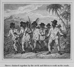 Slaves chained together by the neck and driven to work on the roads