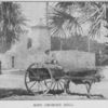 Miss Georgie Bell; The team she rode in while in St. Augustine, Fla.; Now lives in Waukegan, Ill.