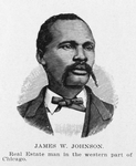 James W. Johnson; Real estate man in the western part of Chicago.