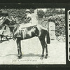 Joe Chamberlain.