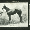La Roche.