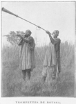 Trompettes de Boussa.