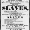Slave auction bill