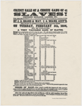 Auction notice, "Credit sale of a choice gang of 41 slaves!"