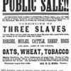 Notice of slave sale, "Public sale!...consisting of three slaves..."