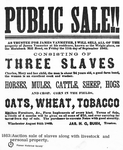 Notice of slave sale, "Public sale!...consisting of three slaves..."